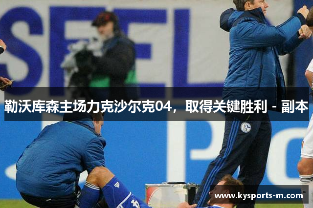 勒沃库森主场力克沙尔克04，取得关键胜利 - 副本