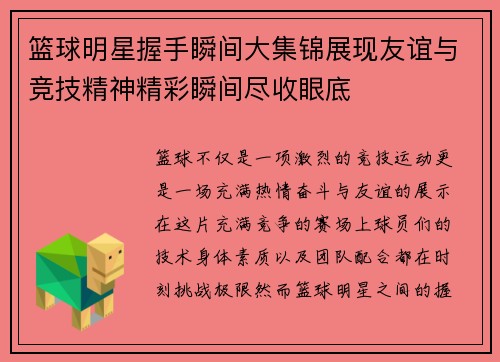 篮球明星握手瞬间大集锦展现友谊与竞技精神精彩瞬间尽收眼底